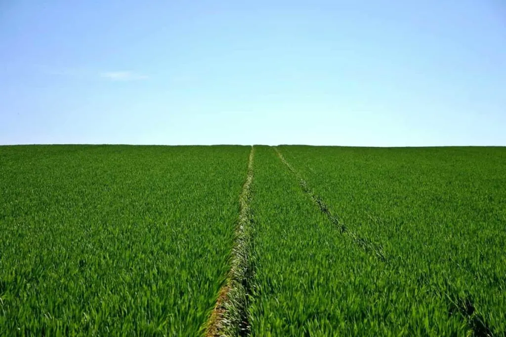 What types of crops are recommended for the a..