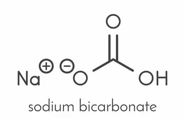 What is the chemical formula of sodium bicarb..
