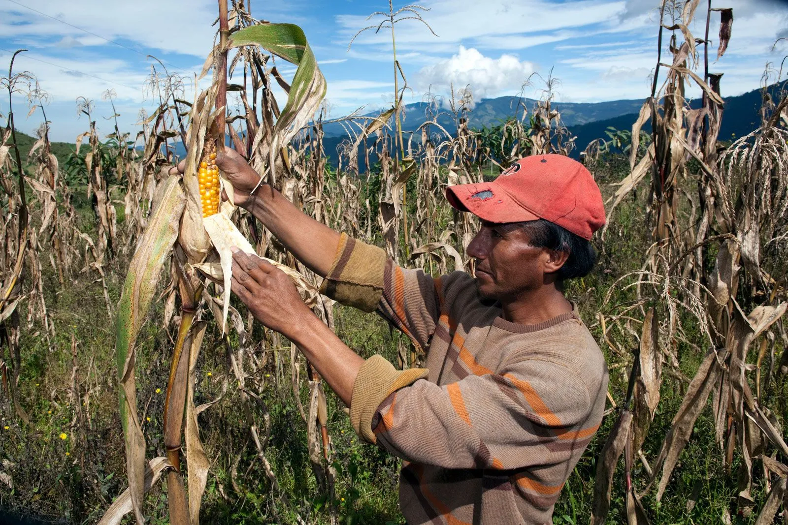 What challenges do small-scale farmers face?
