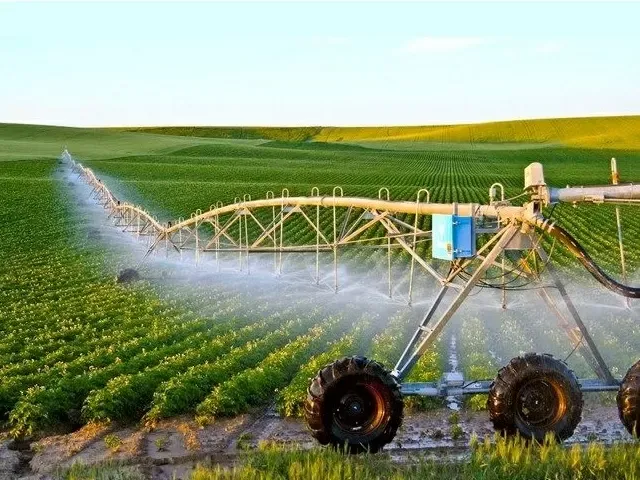 What are the latest trends in agriculture?