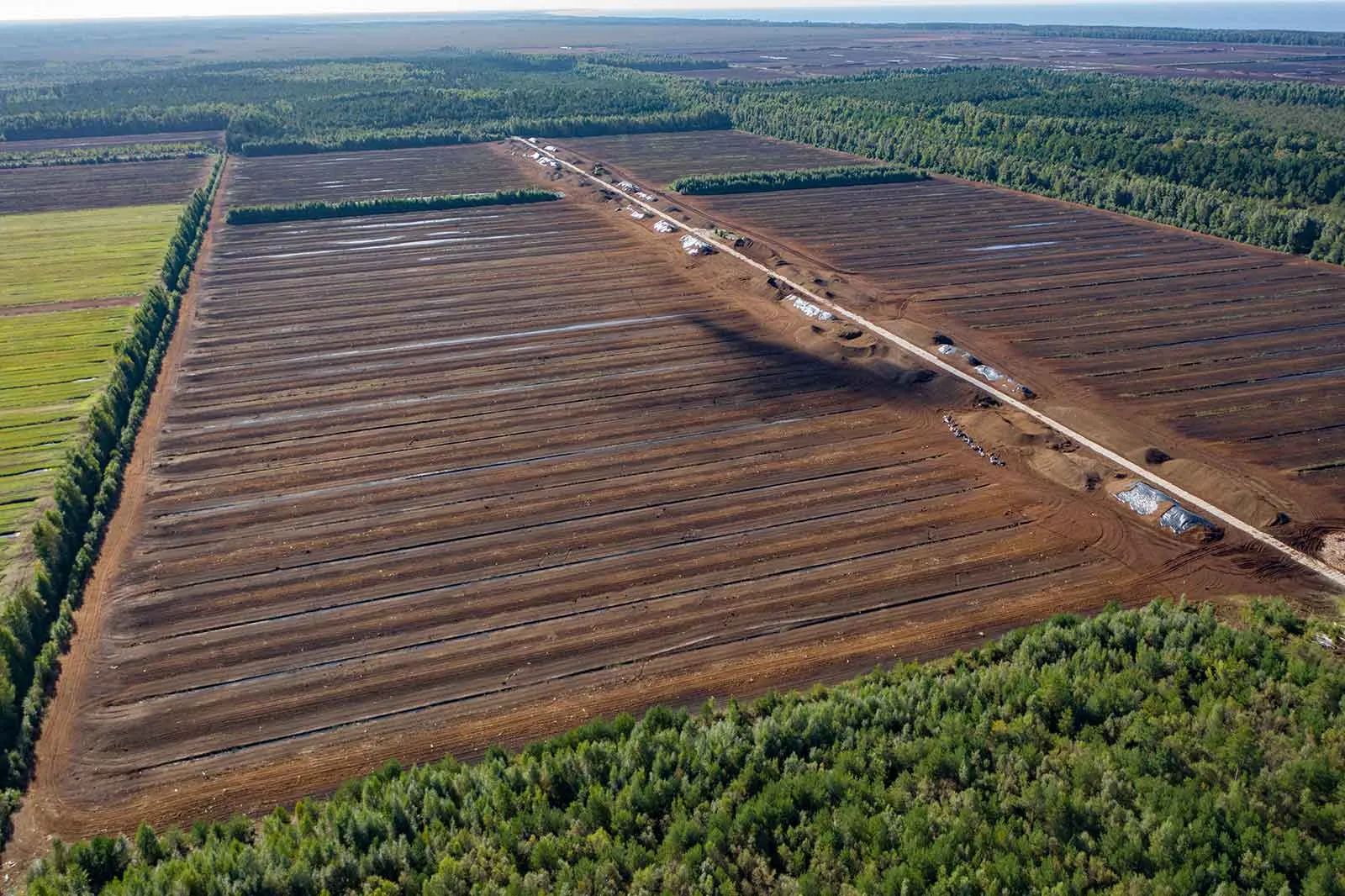 Is humic acid suitable for all types of crops..