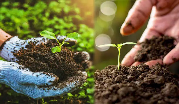 What Are the Benefits of Organic Farming Comp..