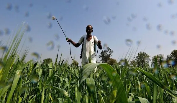 How Can Farmers Reduce Their Reliance on Chem..