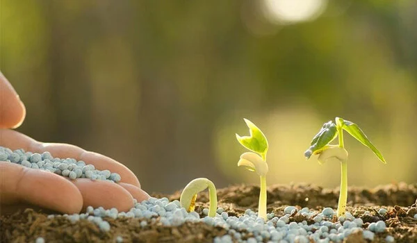 What Are the Environmental Impacts of Using C..