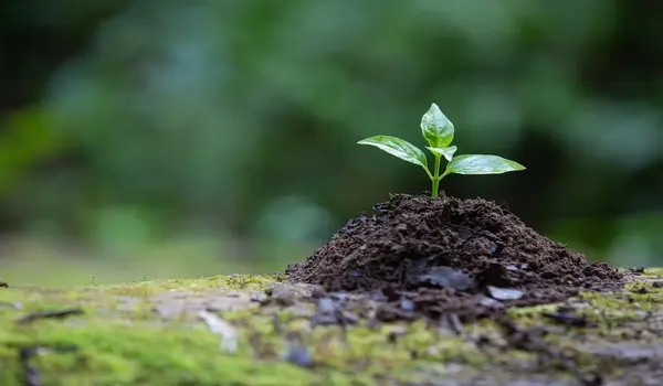 How Quickly Can I Expect to See Results After..