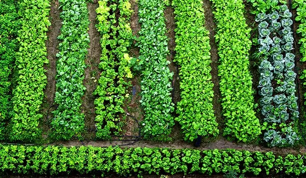 Case Study: How Humic Factory's Solutions Tra..