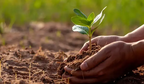 How Can Farmers Improve Soil Structure Using ..