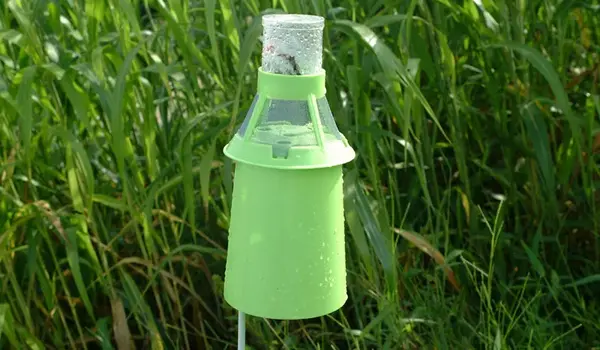 Integrating Integrated Pest Management (IPM) ..