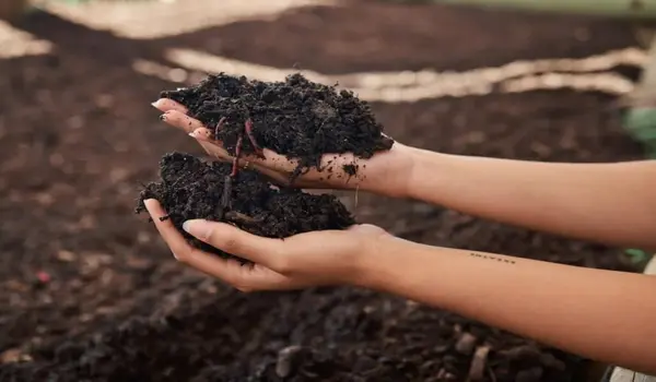 How Does Composting Contribute to Organic Far..