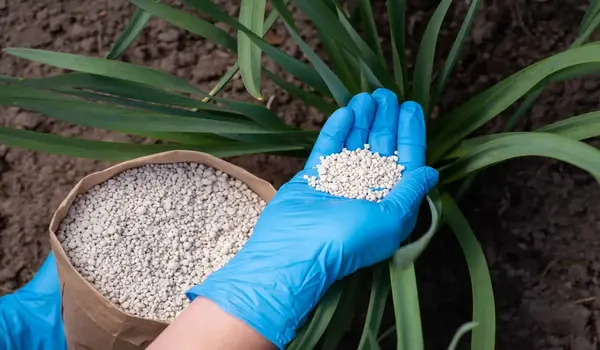 How does Humic Factory’s NPK 20:20:20 fertili..