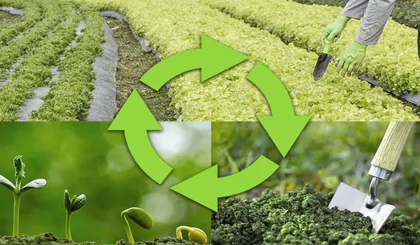How Can Farmers Use Crop Rotation to Prevent ..