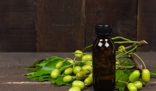 क्या नीम तेल (neem oil) खाद्य फसलों पर उपयोग ..
