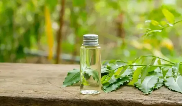 नीम तेल (neem oil) को बगीचे में उपयोग के लिए ..
