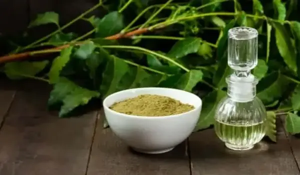 क्या नीम तेल (neem oil) इनडोर और आउटडोर पौधों..