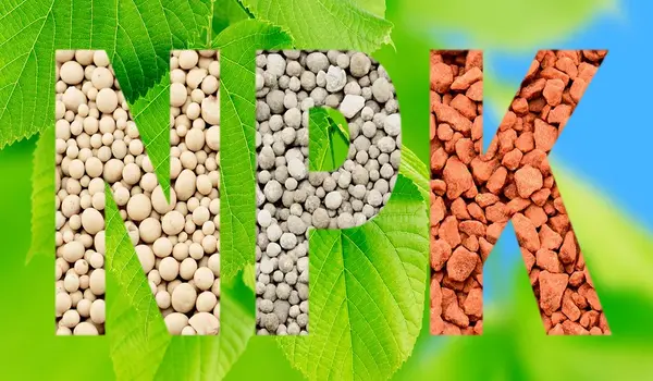 एनपीके 20-20-20 (npk 20 20 20)  उर्वरक का उपय..