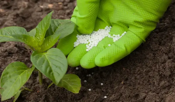 अधिक उर्वरीकरण से बचते हुए एनपीके (npk) उर्वर..