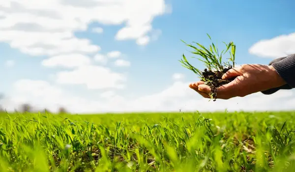 sustainable farming simplified: know why the principal source of biofertilizers are necessities for growth