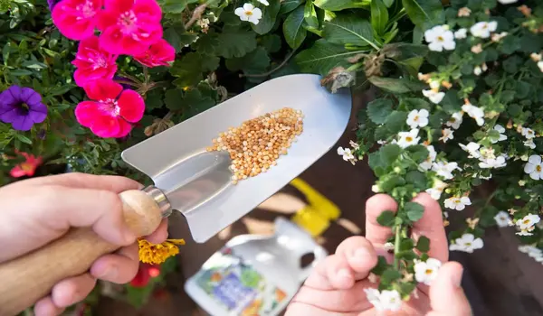 Secrets to Vibrant Blooms: Choosing the Right NPK for Flowering Plants