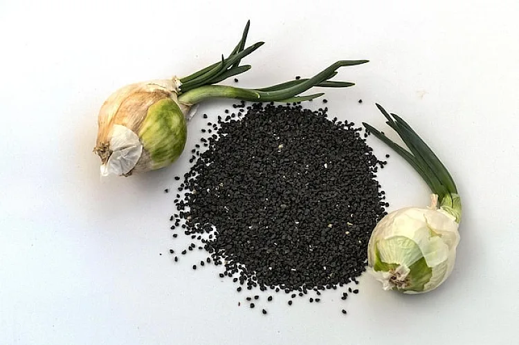 Seaweed Fertilizer Benefits: The Organic Secr..