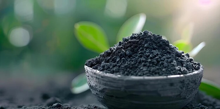 Seaweed Fertilizer Benefits for Organic Farmi..