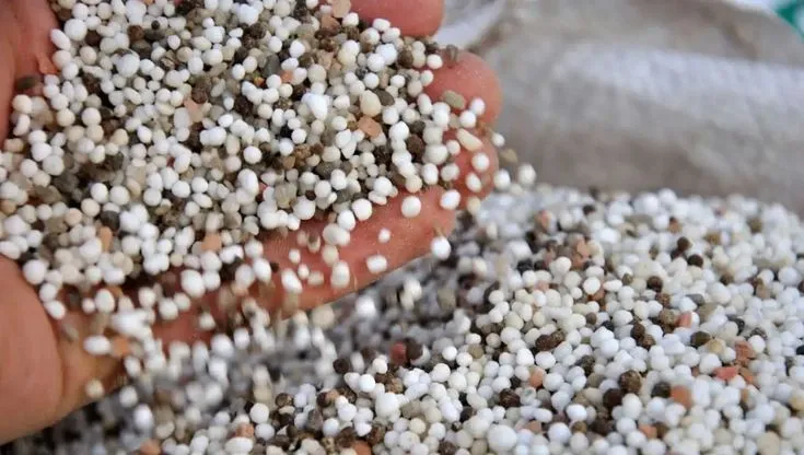 Mycorrhizal Biofertilizer: Saving Crops from ..