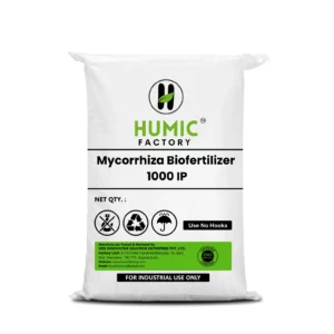 Mycorrhiza Biofertilizer 1000 IP